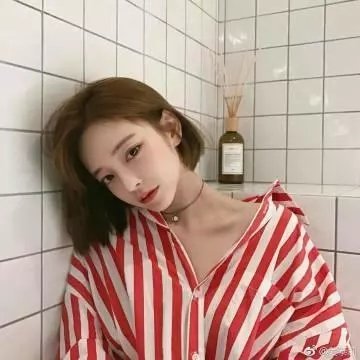 公鸡